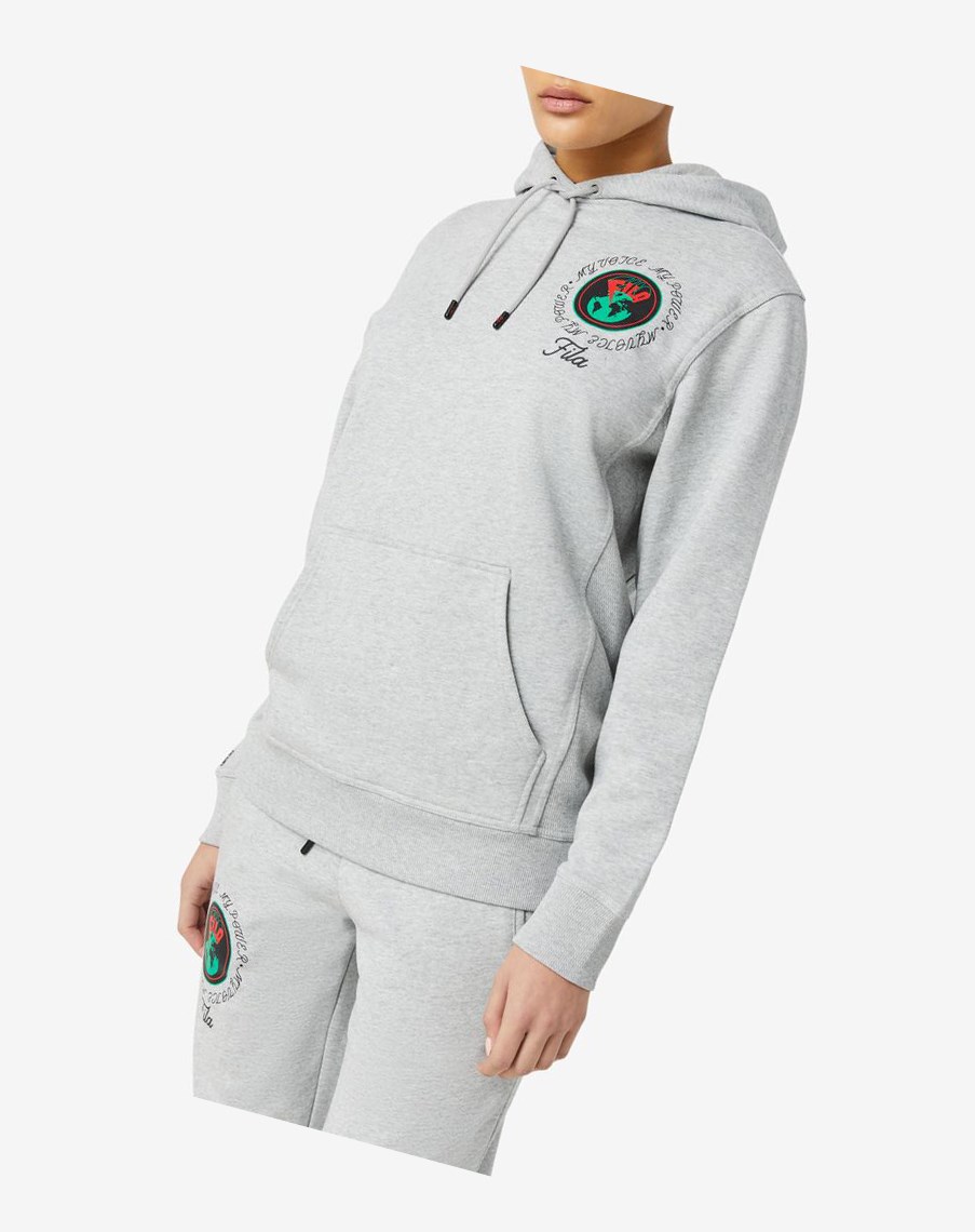 Fila Hunt Hoodie Gris | 43TRAQYXJ