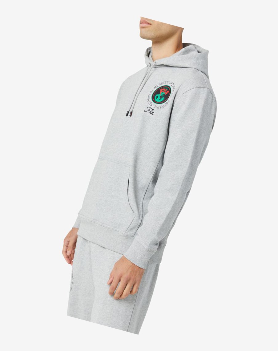 Fila Hunt Hoodie Gris | 43TRAQYXJ