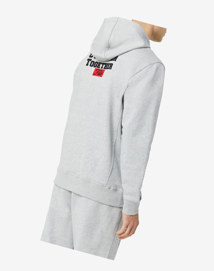 Fila Hunt Hoodie Gris | 43TRAQYXJ