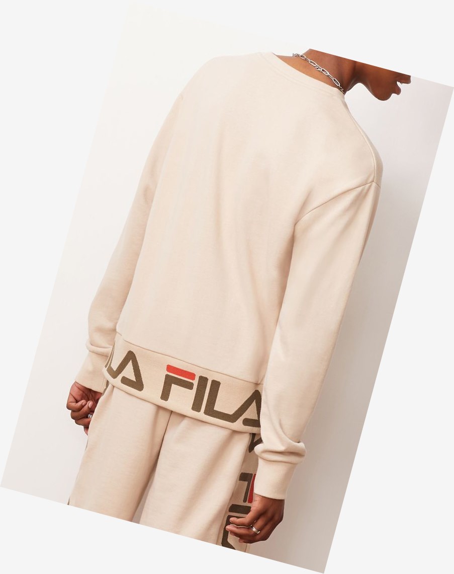 Fila Neil Crew Cemt/Kala/Chili | 04BYEOZMP