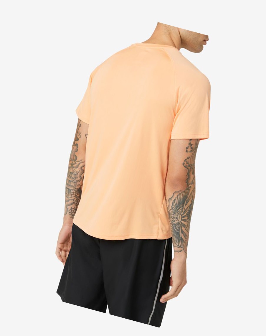 Fila Pickleball Corta Sleeve Crew 818 Cantaloupe | 16OFVZIEC