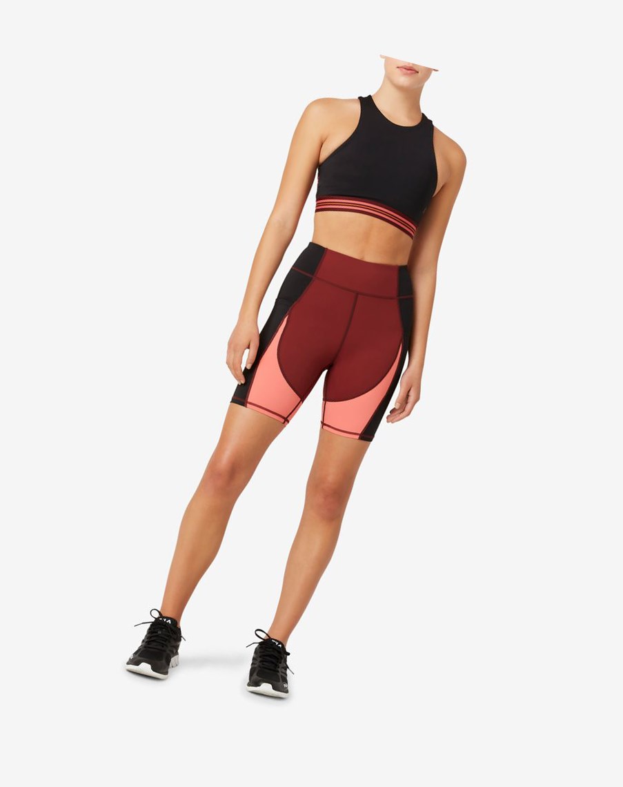 Fila Push Yourself Bike Corta Chocolate Rosas Negras | 28QIJOZDS