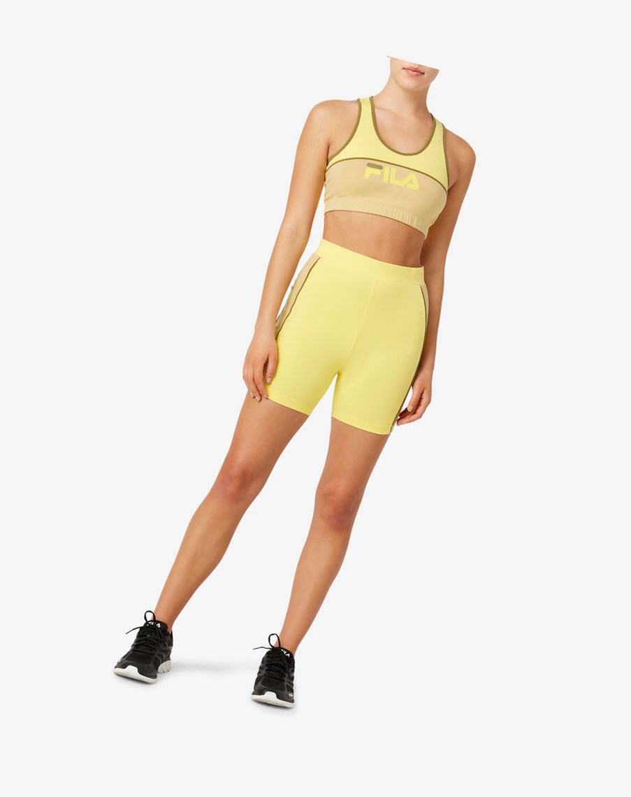 Fila Trina Bike Corta Verde Oliva | 41MDKCSIW